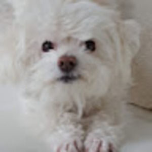 Meet your Posher, Jillian